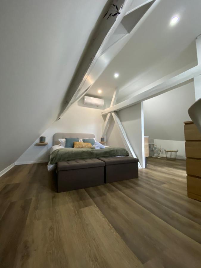 Comfortable Air-Conditioned T3 In The Heart Of Amboise With Parking Space Esterno foto
