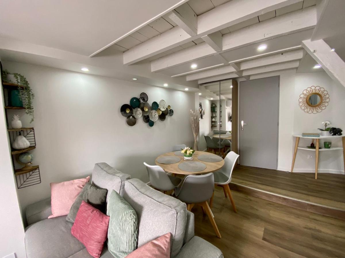 Comfortable Air-Conditioned T3 In The Heart Of Amboise With Parking Space Esterno foto