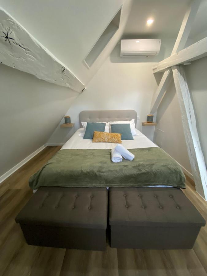Comfortable Air-Conditioned T3 In The Heart Of Amboise With Parking Space Esterno foto