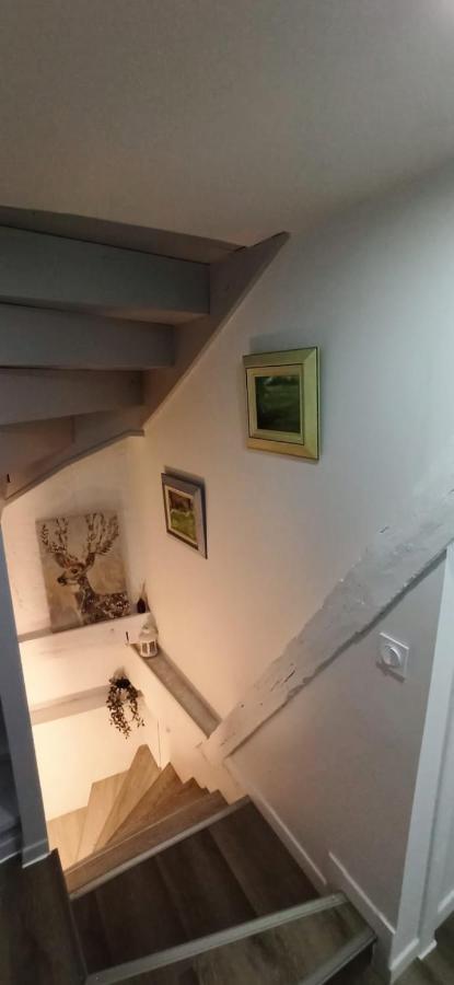Comfortable Air-Conditioned T3 In The Heart Of Amboise With Parking Space Esterno foto
